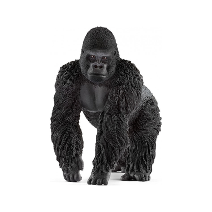 Gorilla (genormaliseerd)