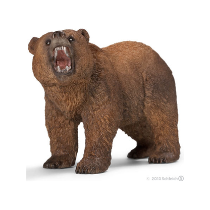 Oso grizzly (normalizado)