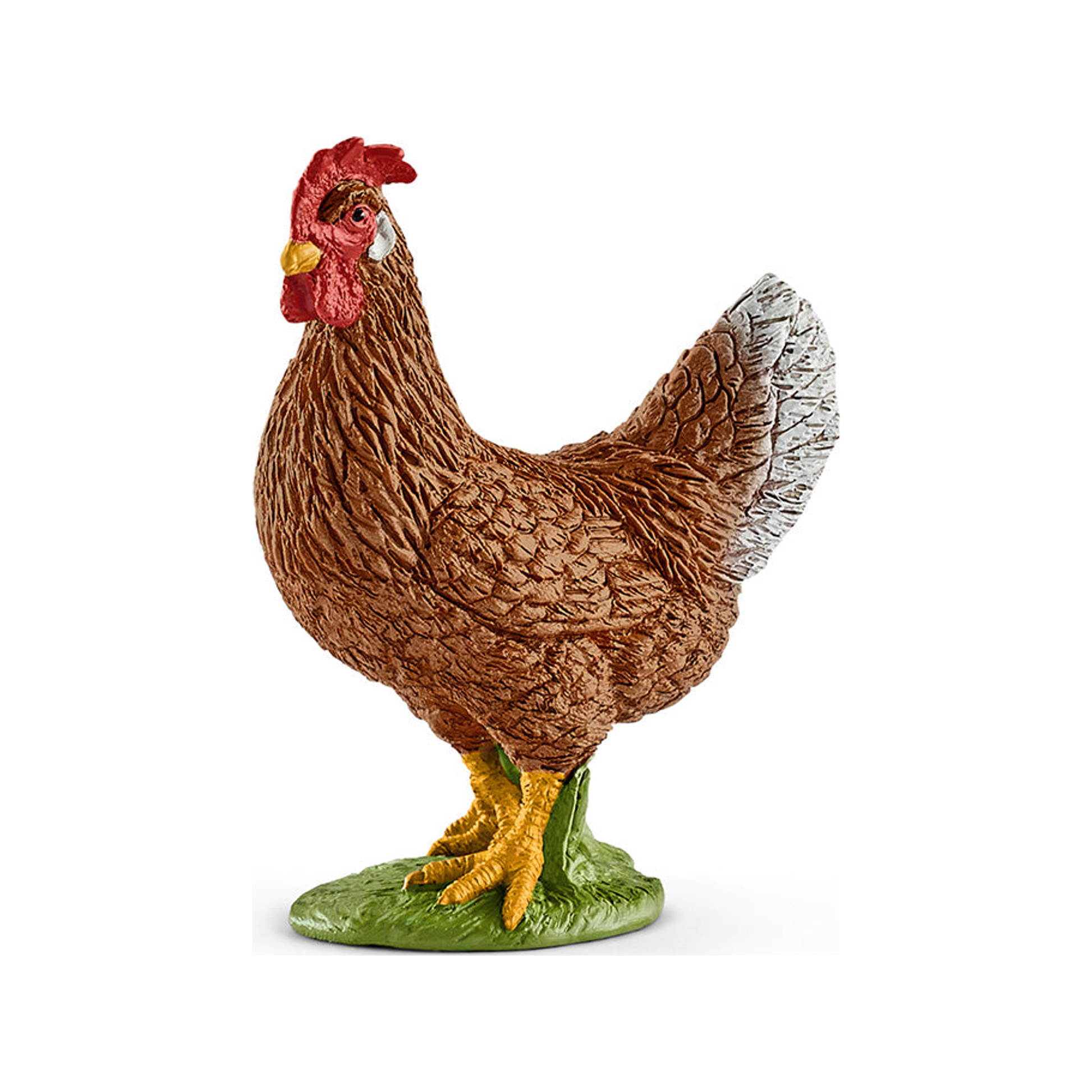 Poule (normalisée)