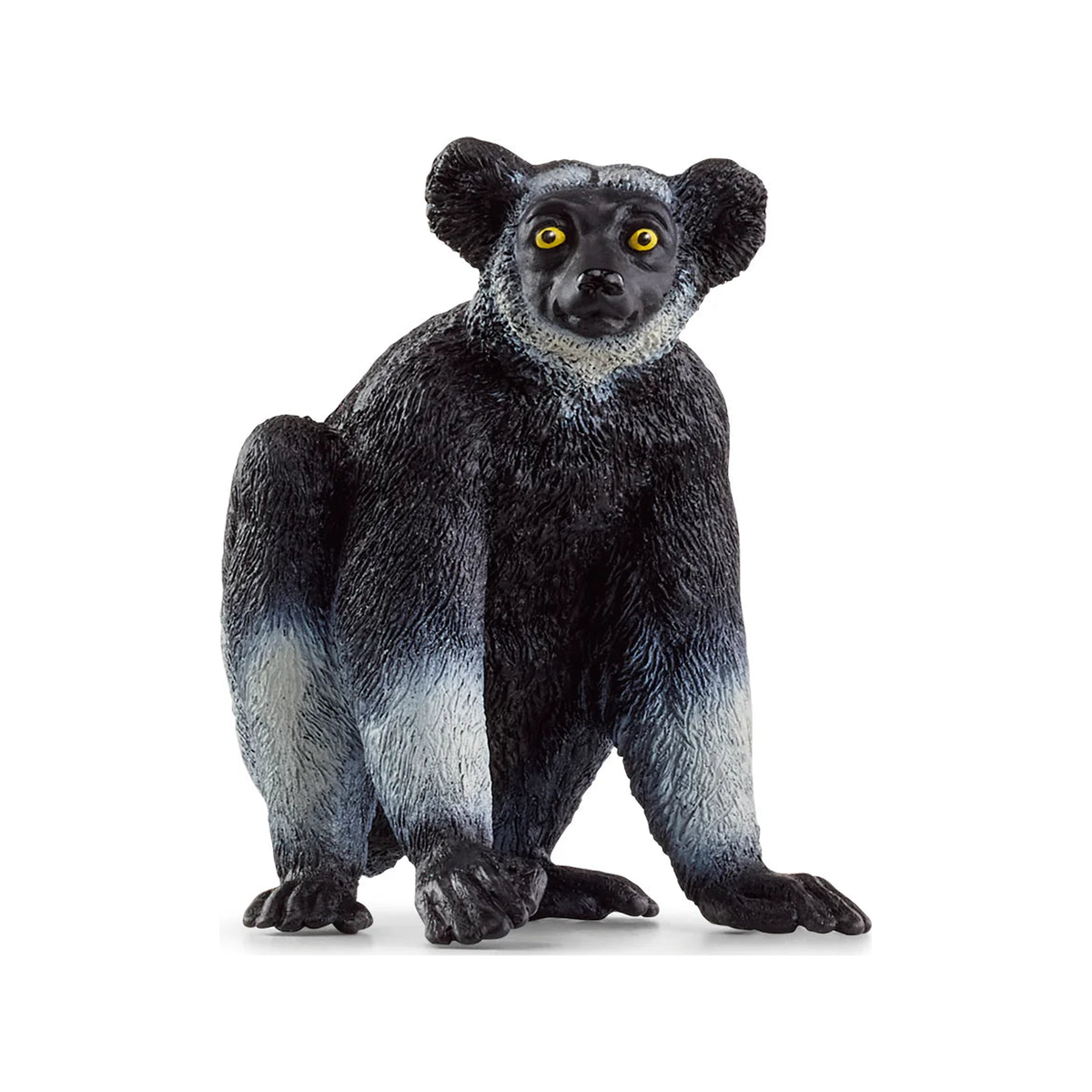 Indri (normalizado)