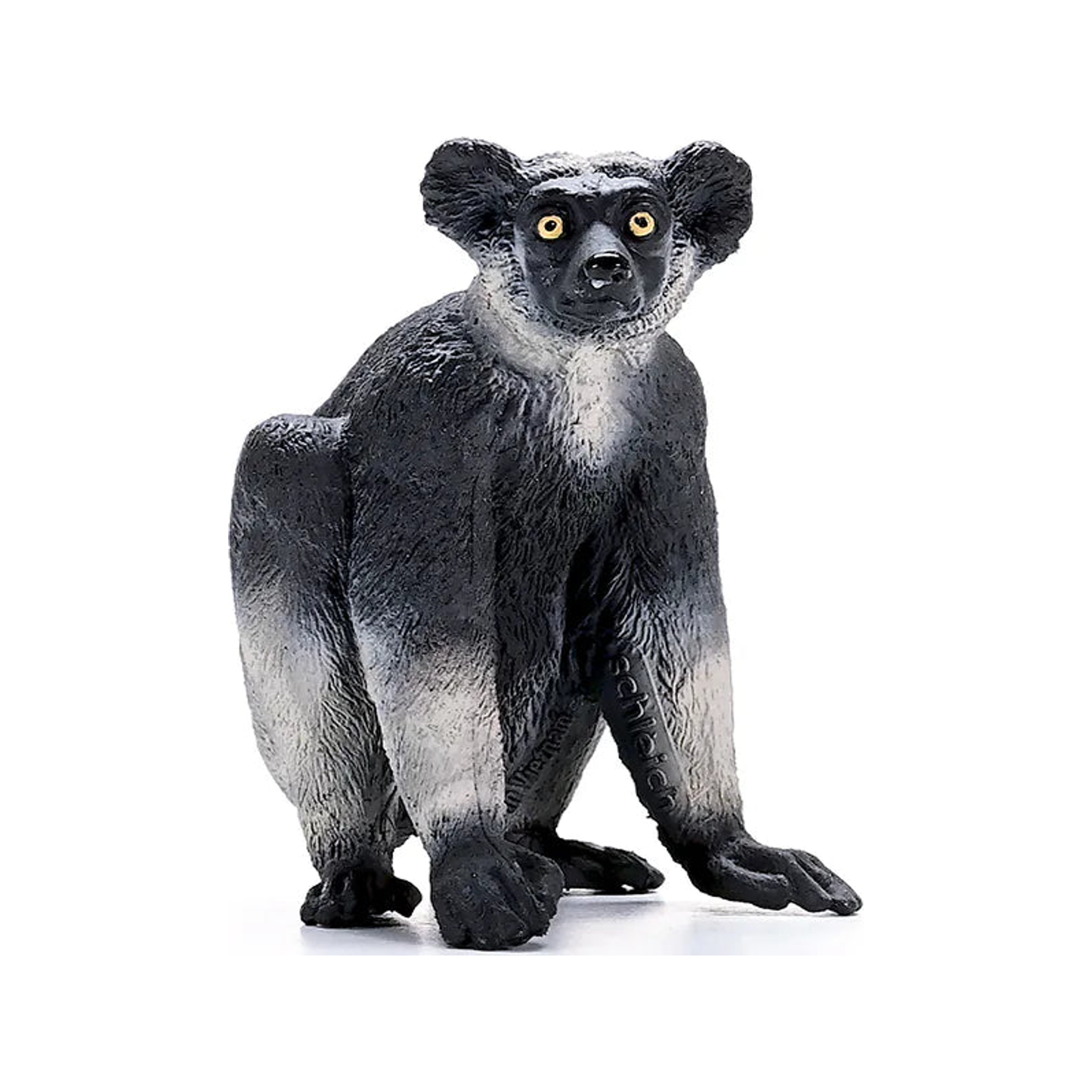 Indri (normalizado)