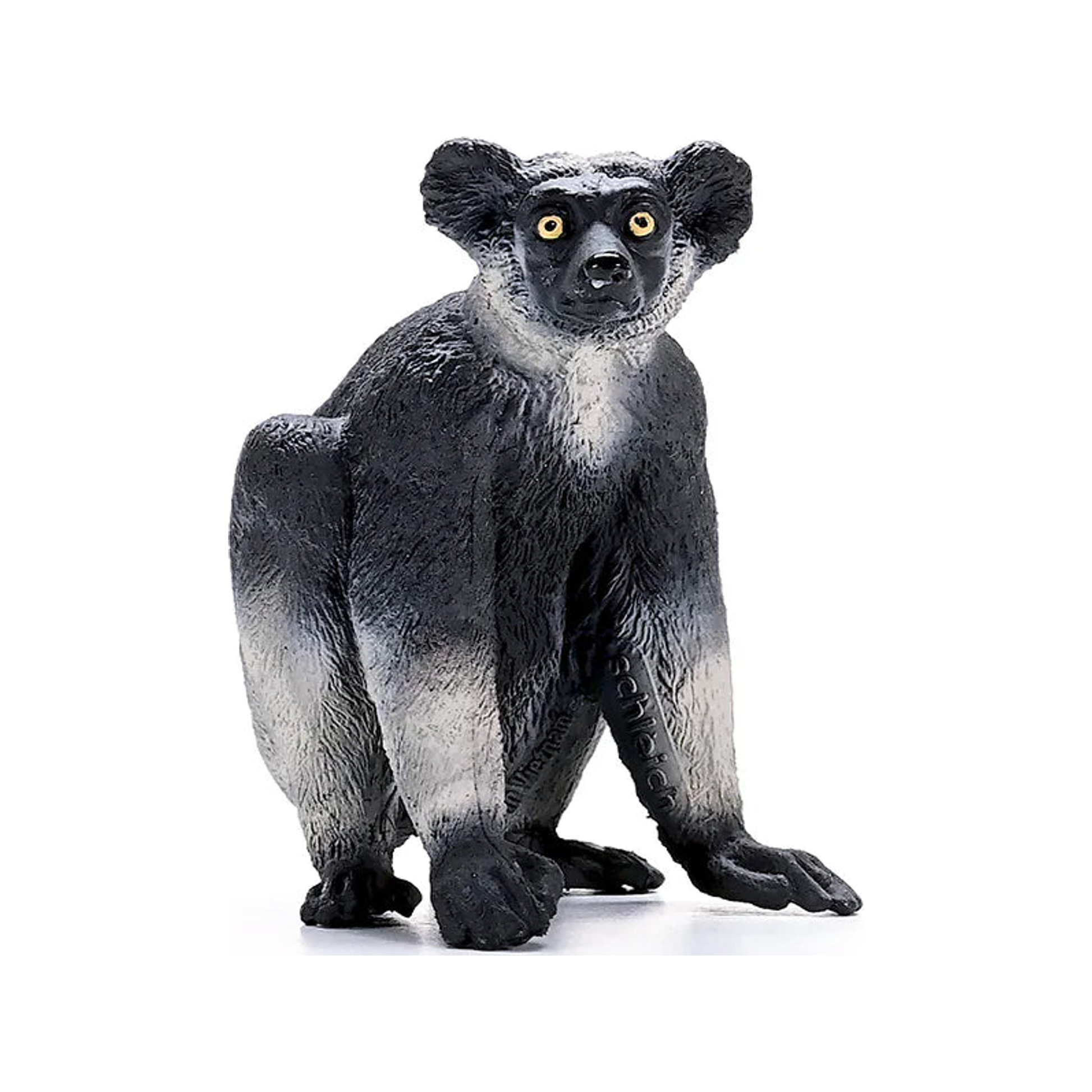 Indri (normalizado)