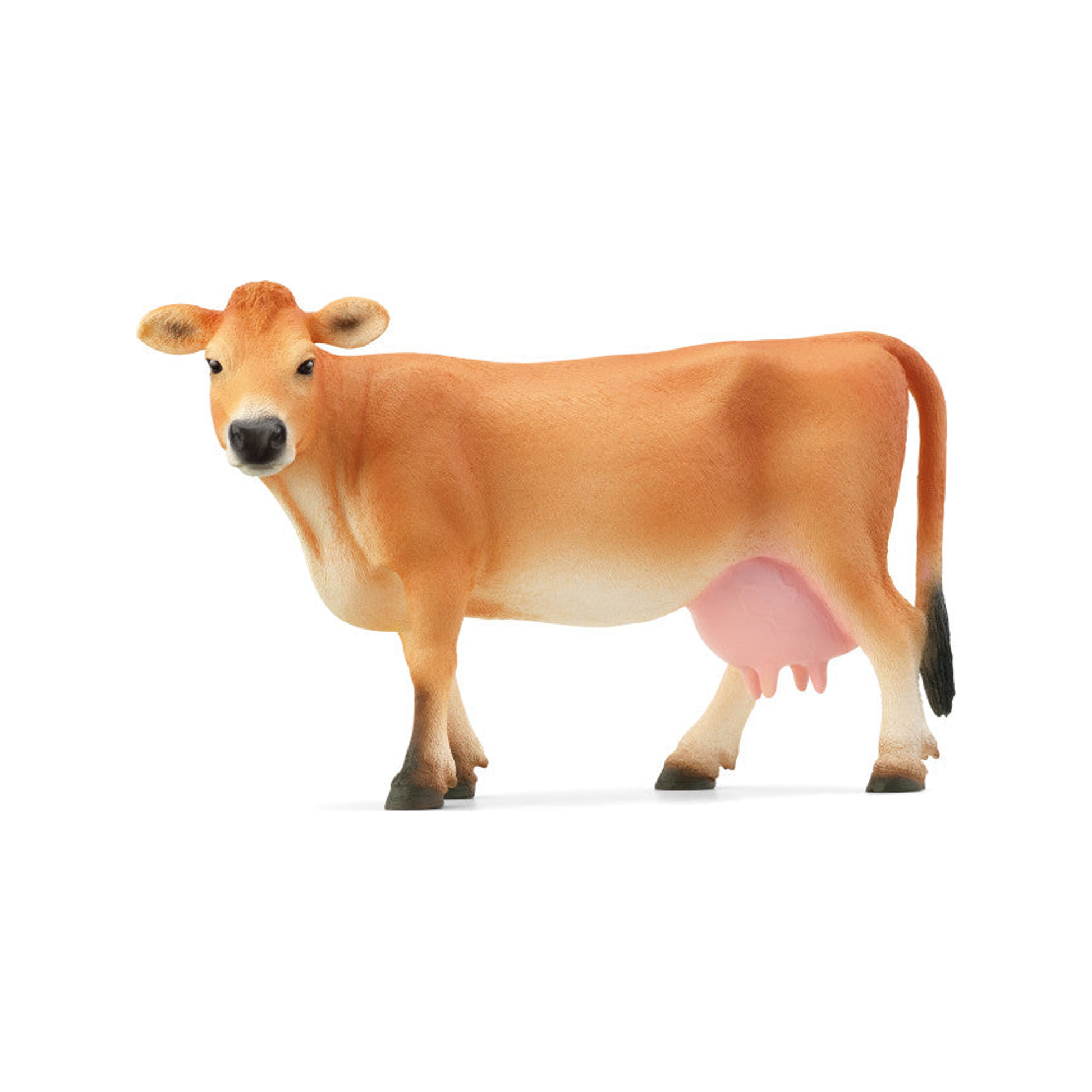 Vaca Jersey (normalizada)