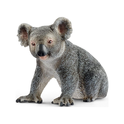 Koala (genormaliseerd)