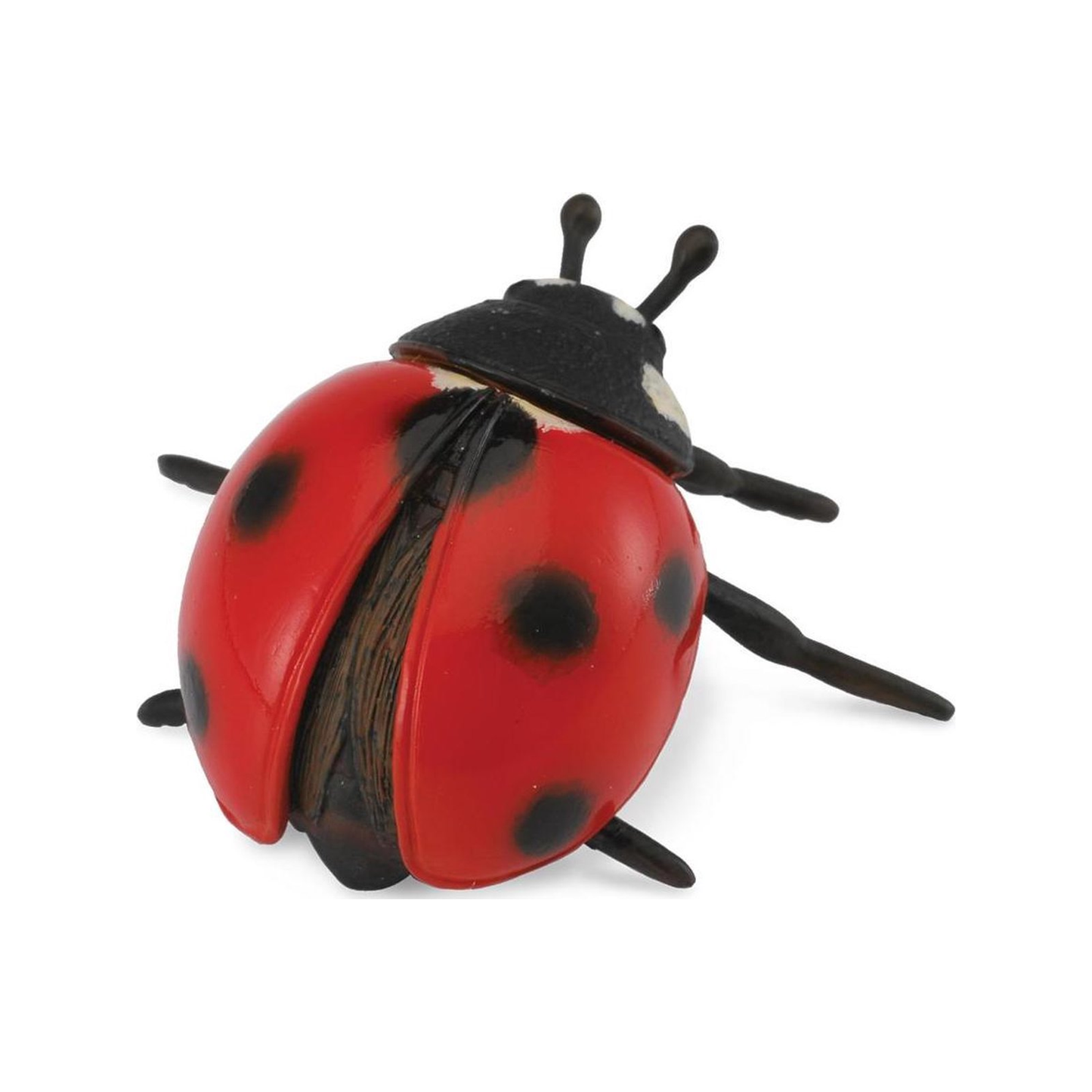 Ladybird (normalized)