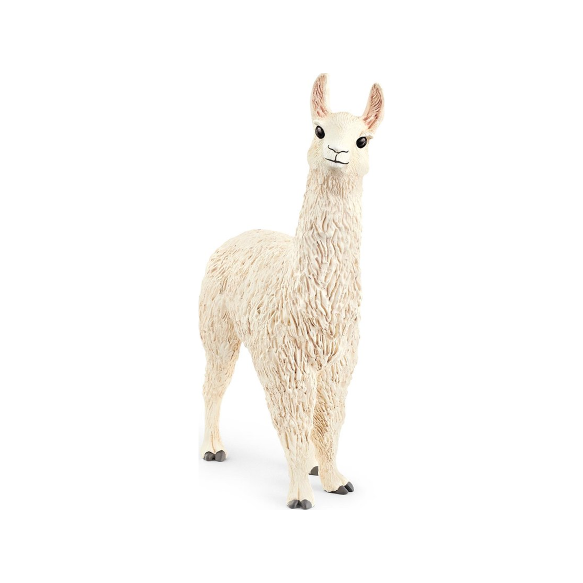 Llama (normalizada)