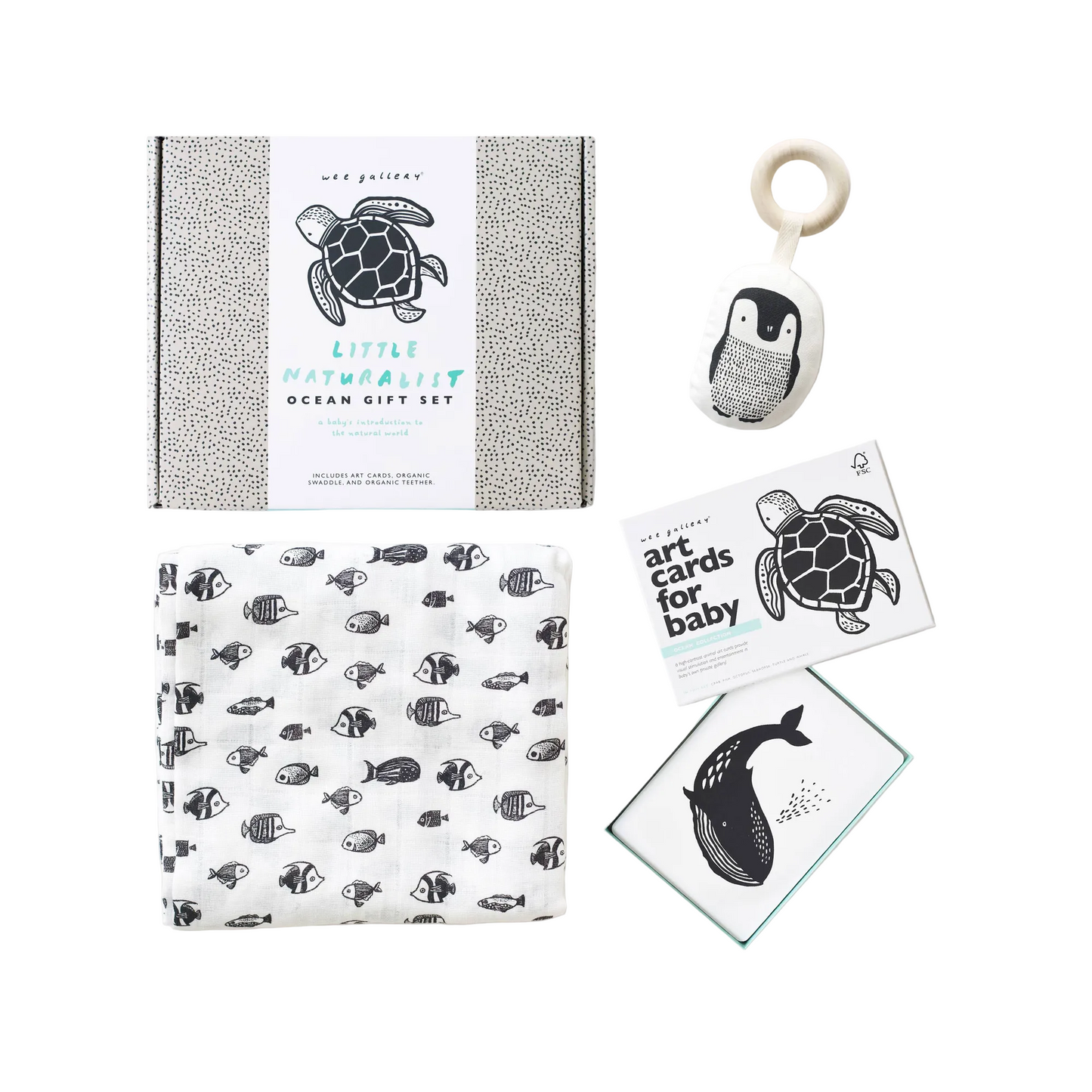 Little Naturalist Cadeauset - Oceaan (genormaliseerd)