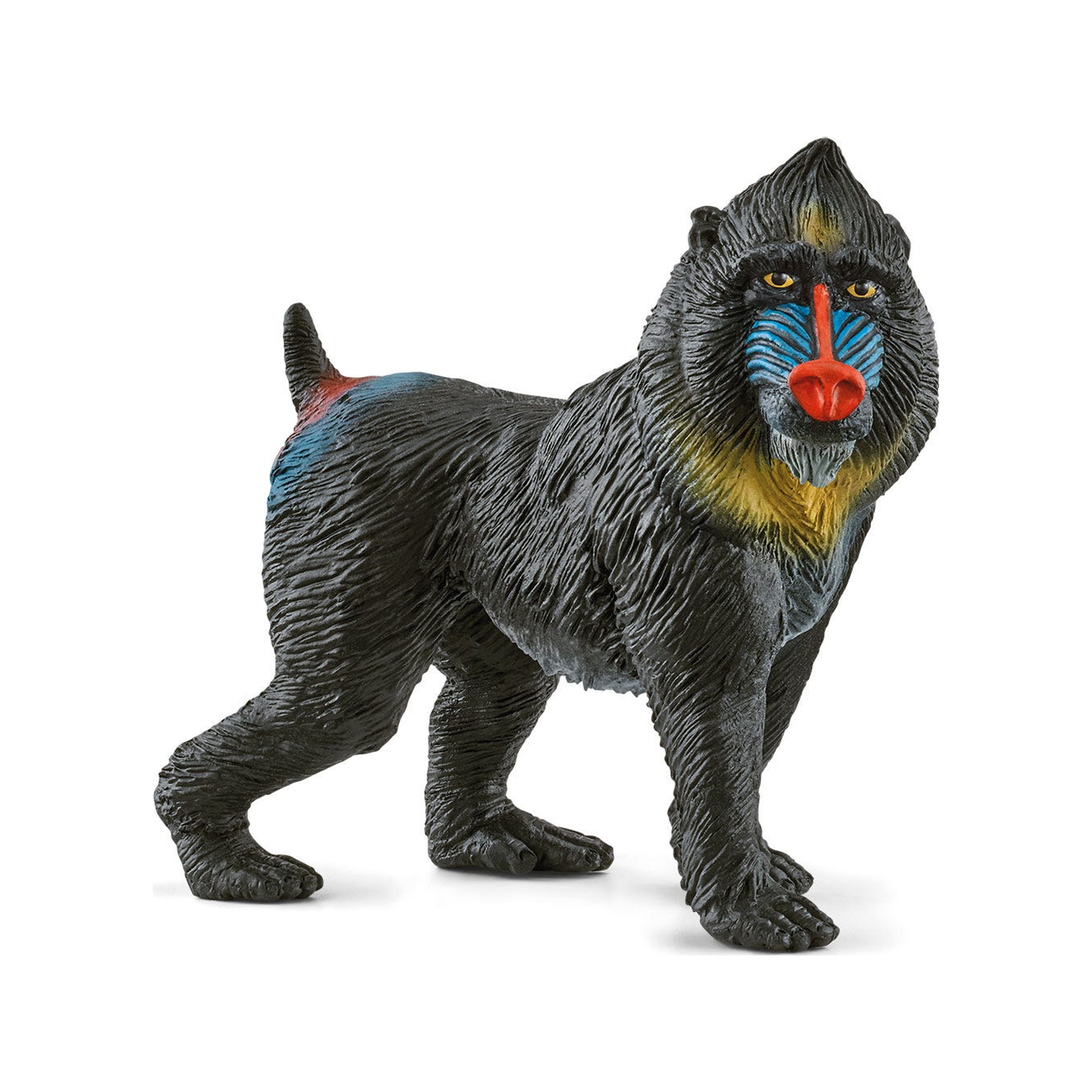 Mandril (normalizado)