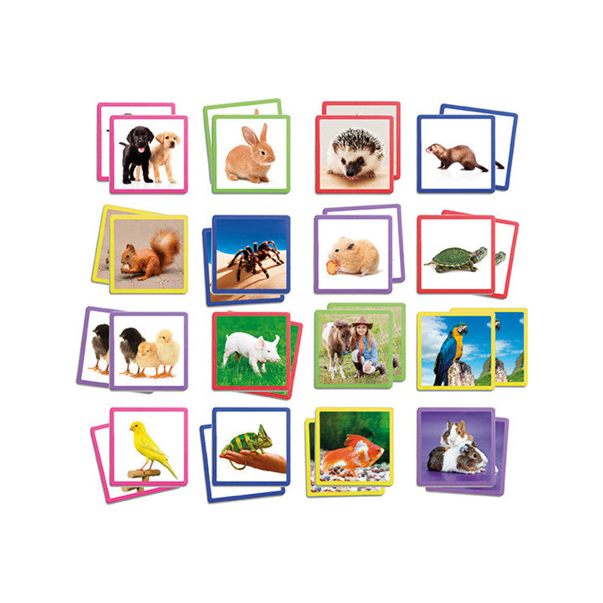 Maxi-Memory: Huisdieren (genormaliseerd)