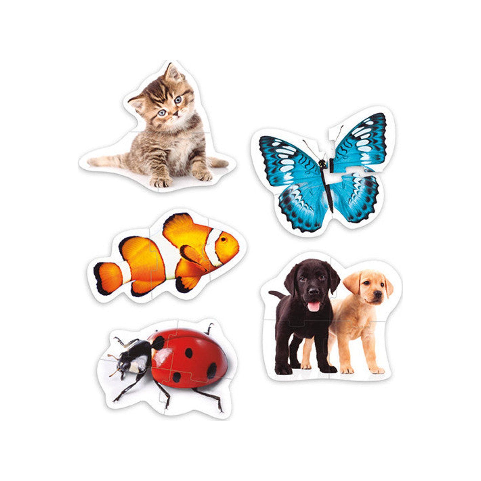 Maxi Puzzle - Animals (normalized)