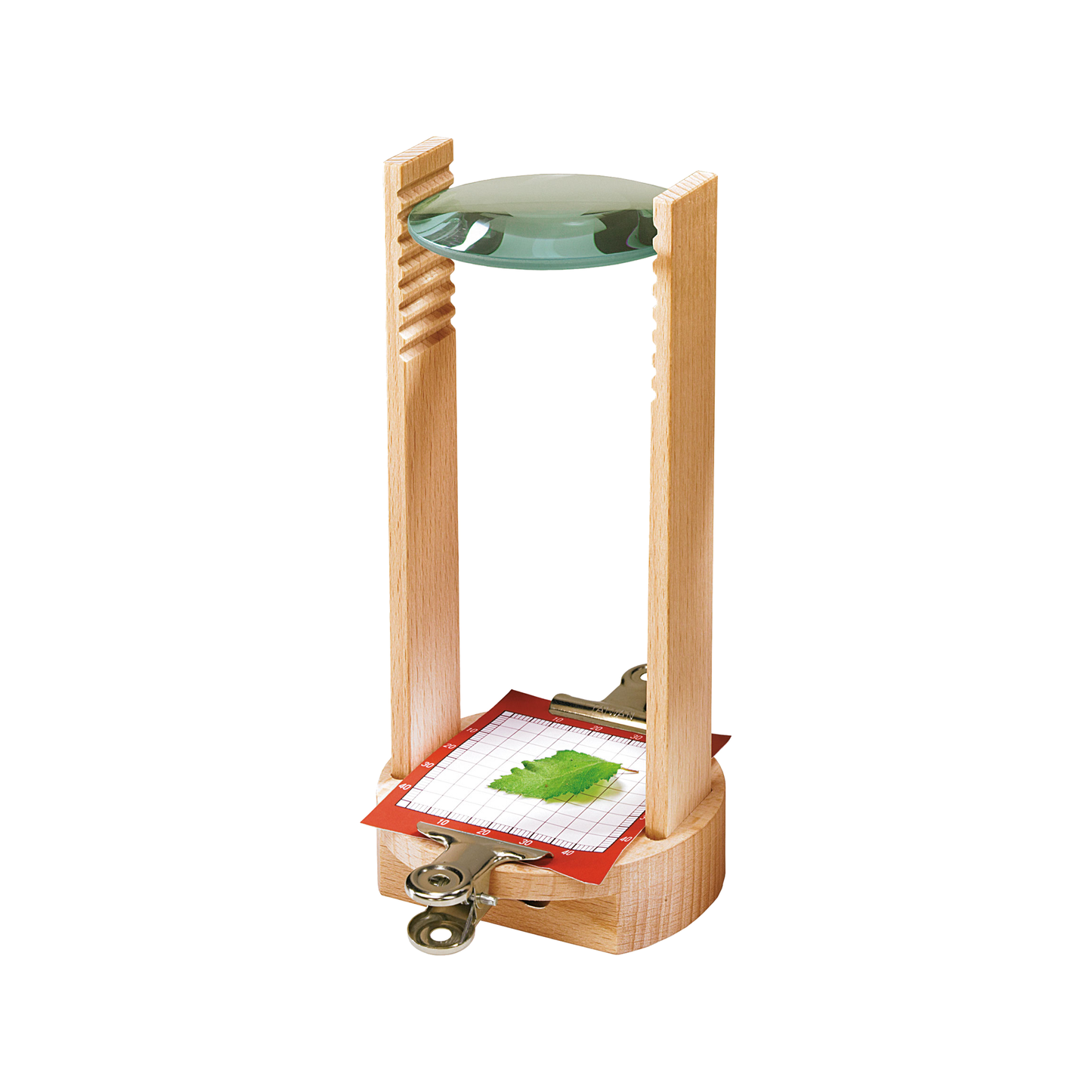 Microscope (normalized)