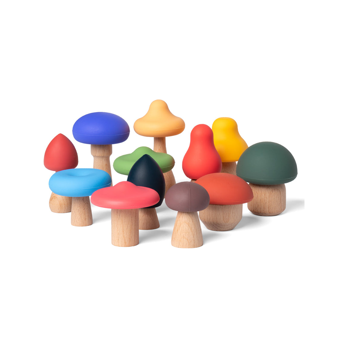 Mushrooms Full Color (normalized)