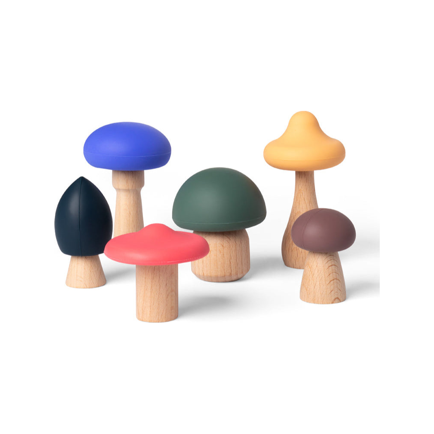 Mushrooms Full Color (normalized)