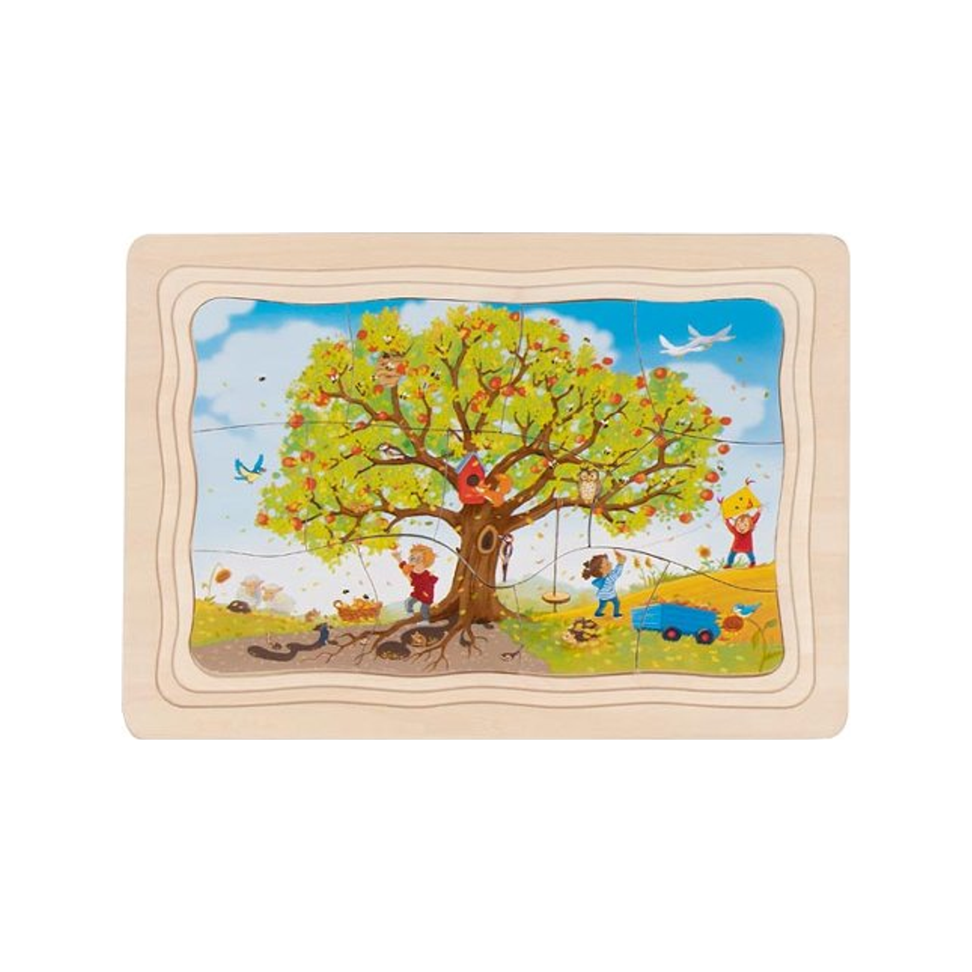 Mijn appelboompuzzel (genormaliseerd)
