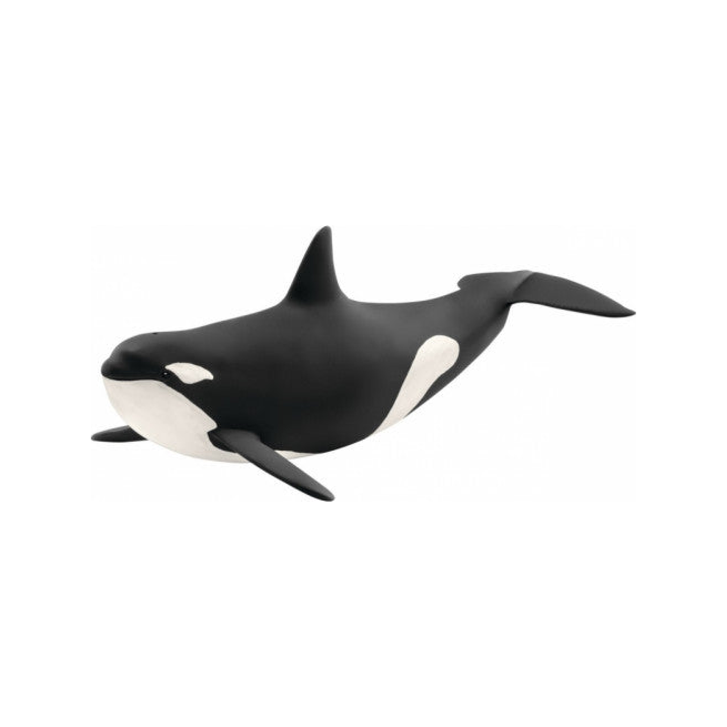 Orca (normalized)