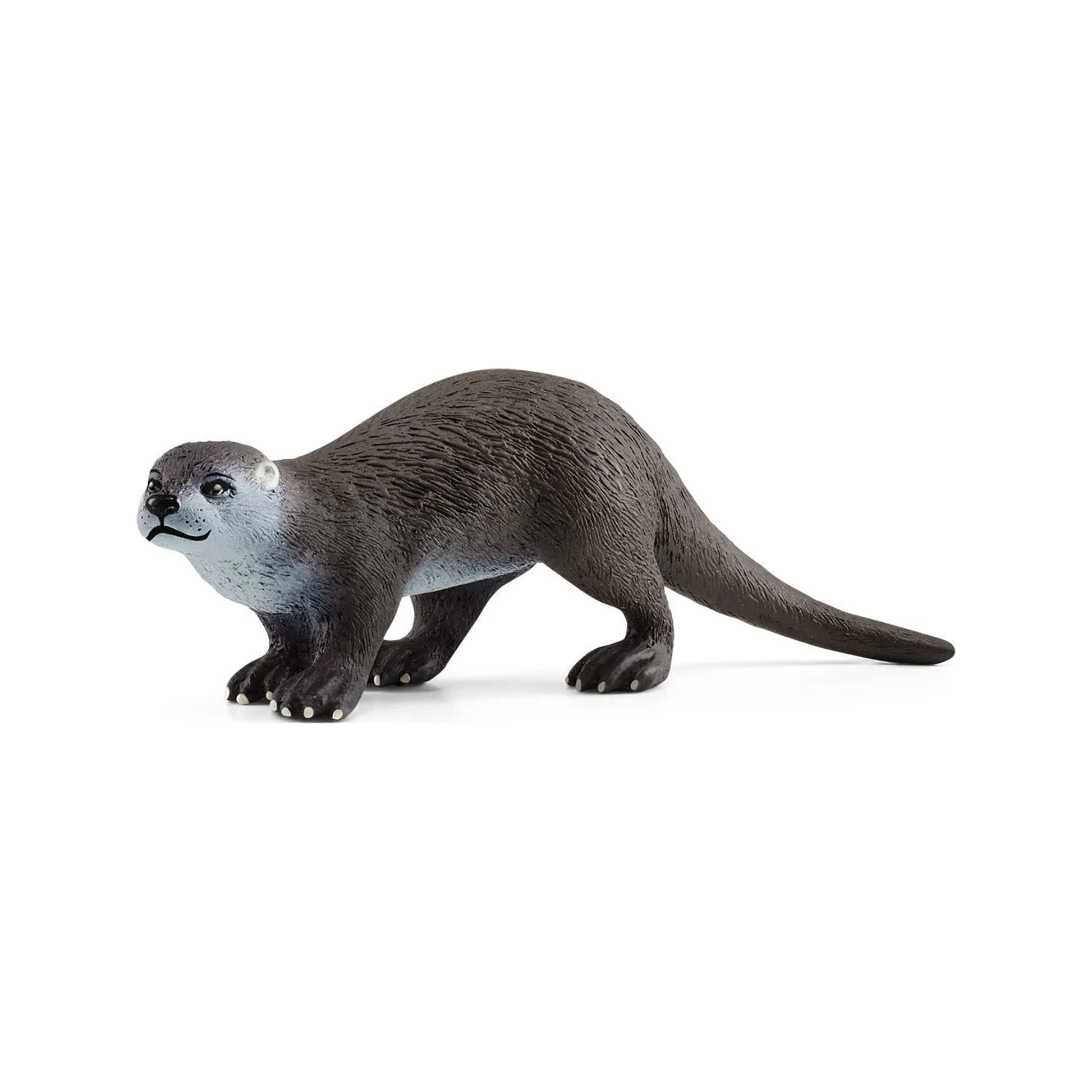Otter (normalized)