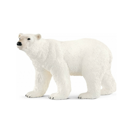 Oso polar (normalizado)