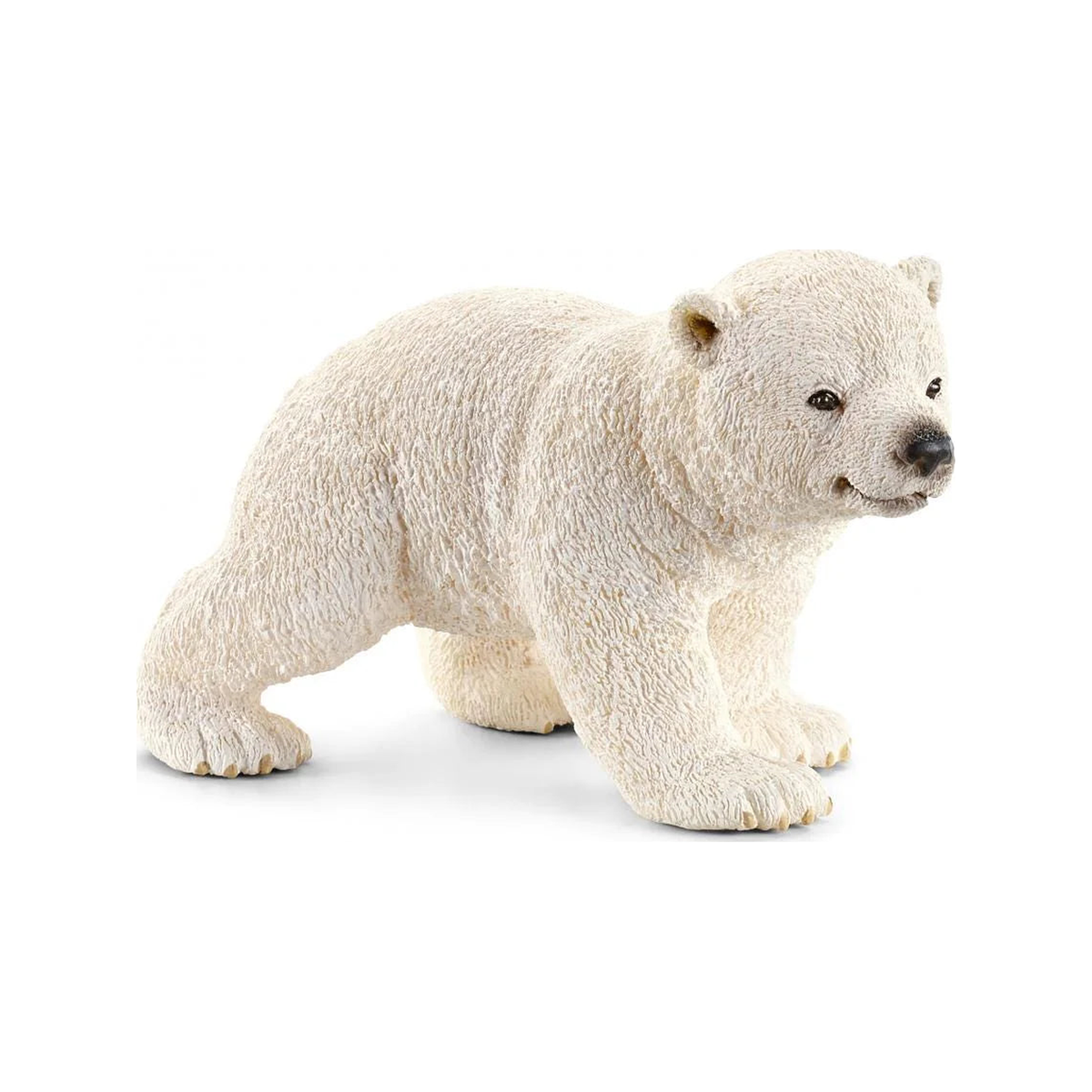 Cachorro de oso polar (normalizado)