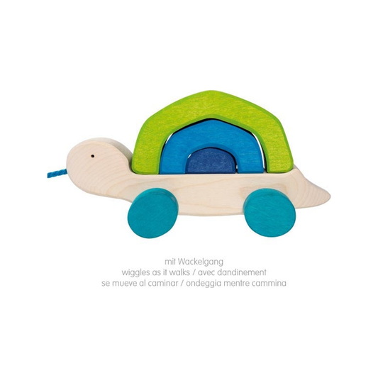 Pull-along Turtle (normalized)