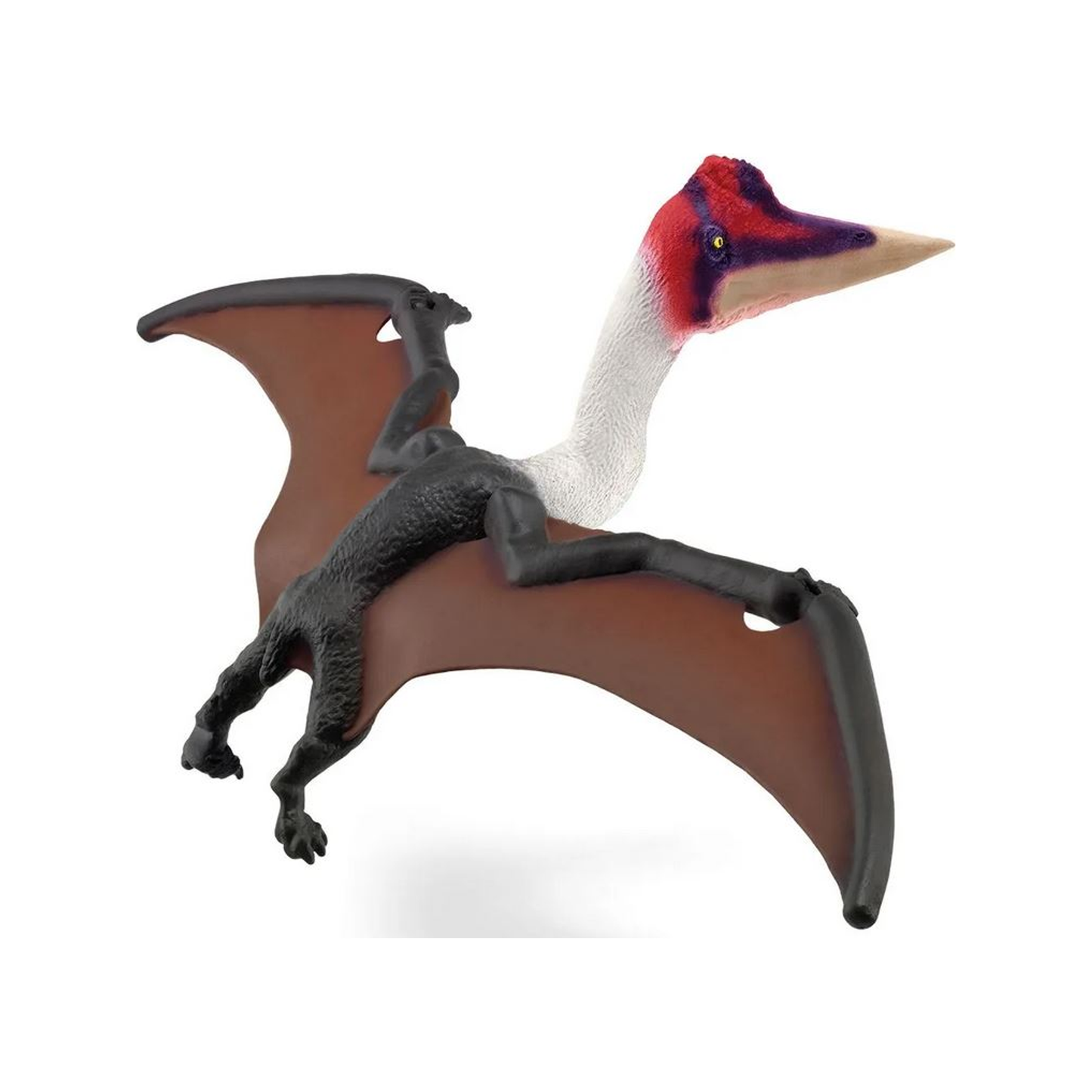 Quetzalcoatlus (normalized)