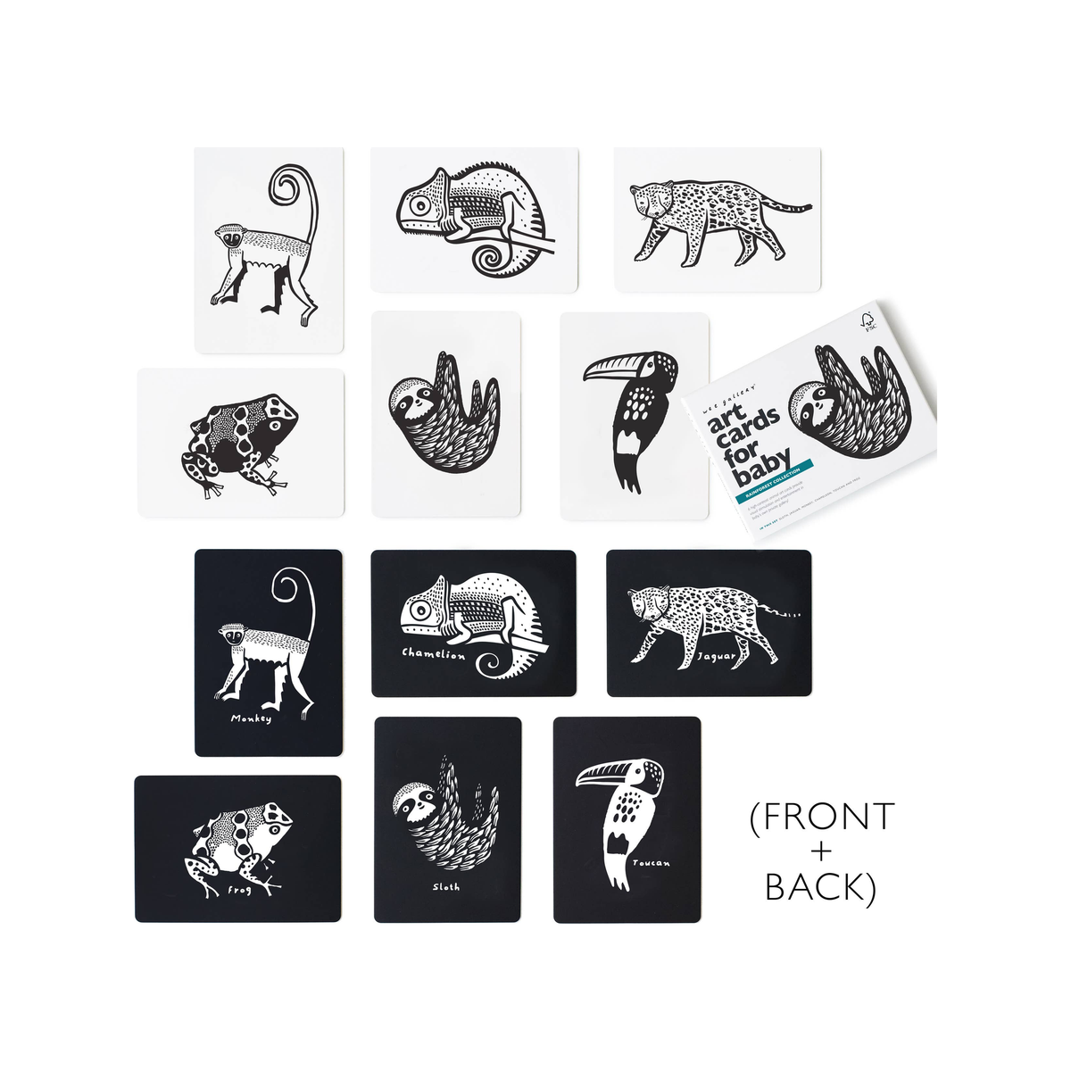 Rainforest Art Cards (normalized)