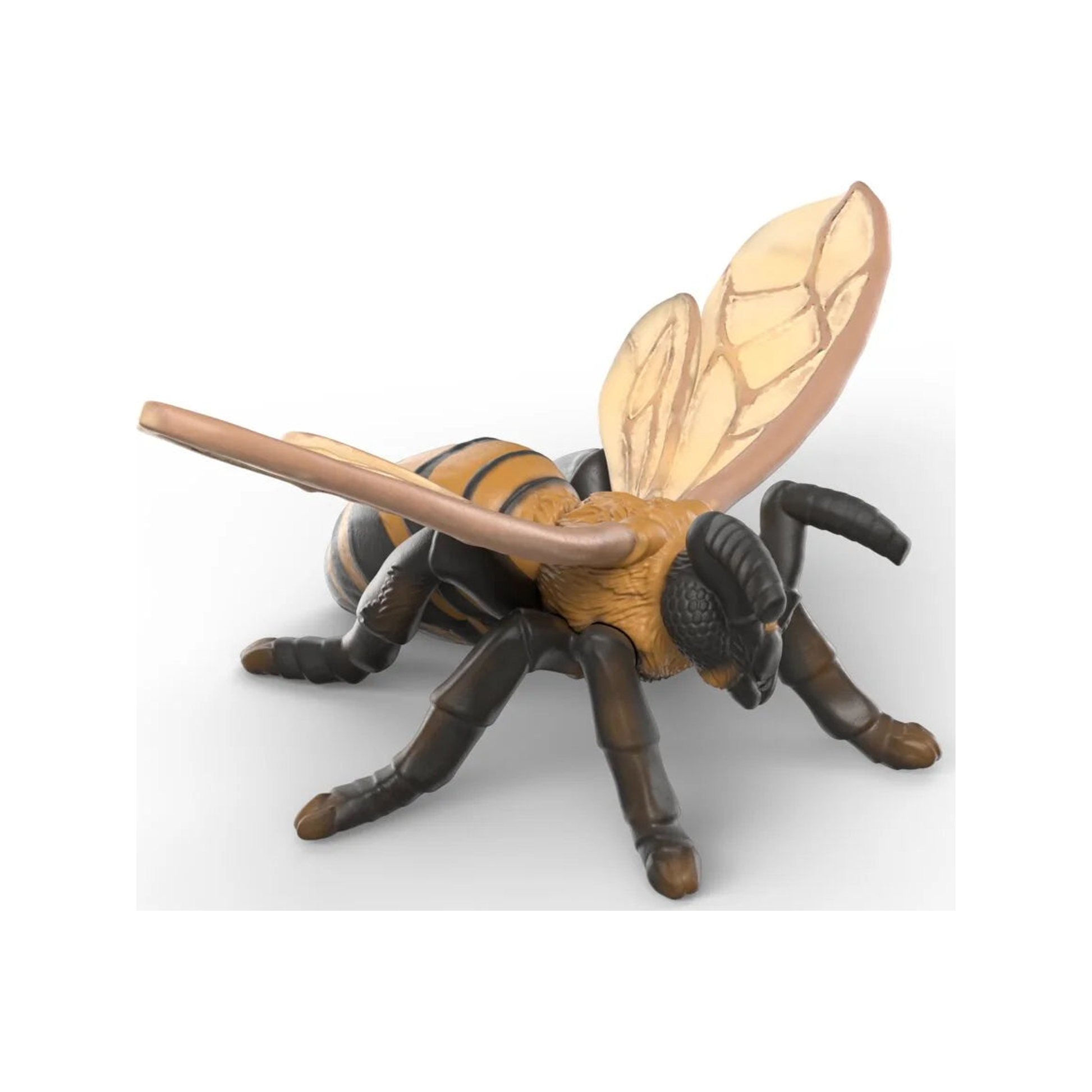 Schleich Insects Discovery Set (normalized)