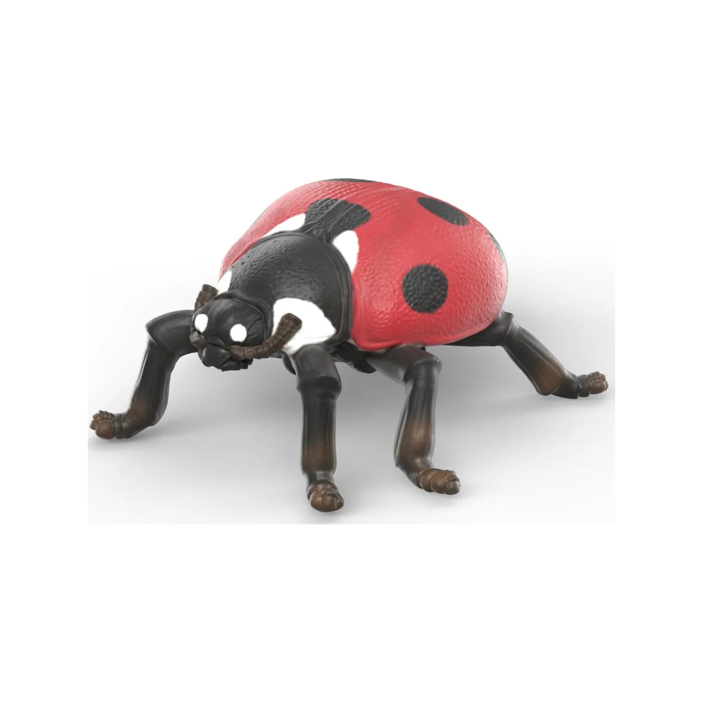Schleich Insects Discovery Set (normalized)