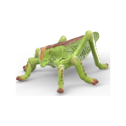 Schleich Insects Discovery Set (normalized)