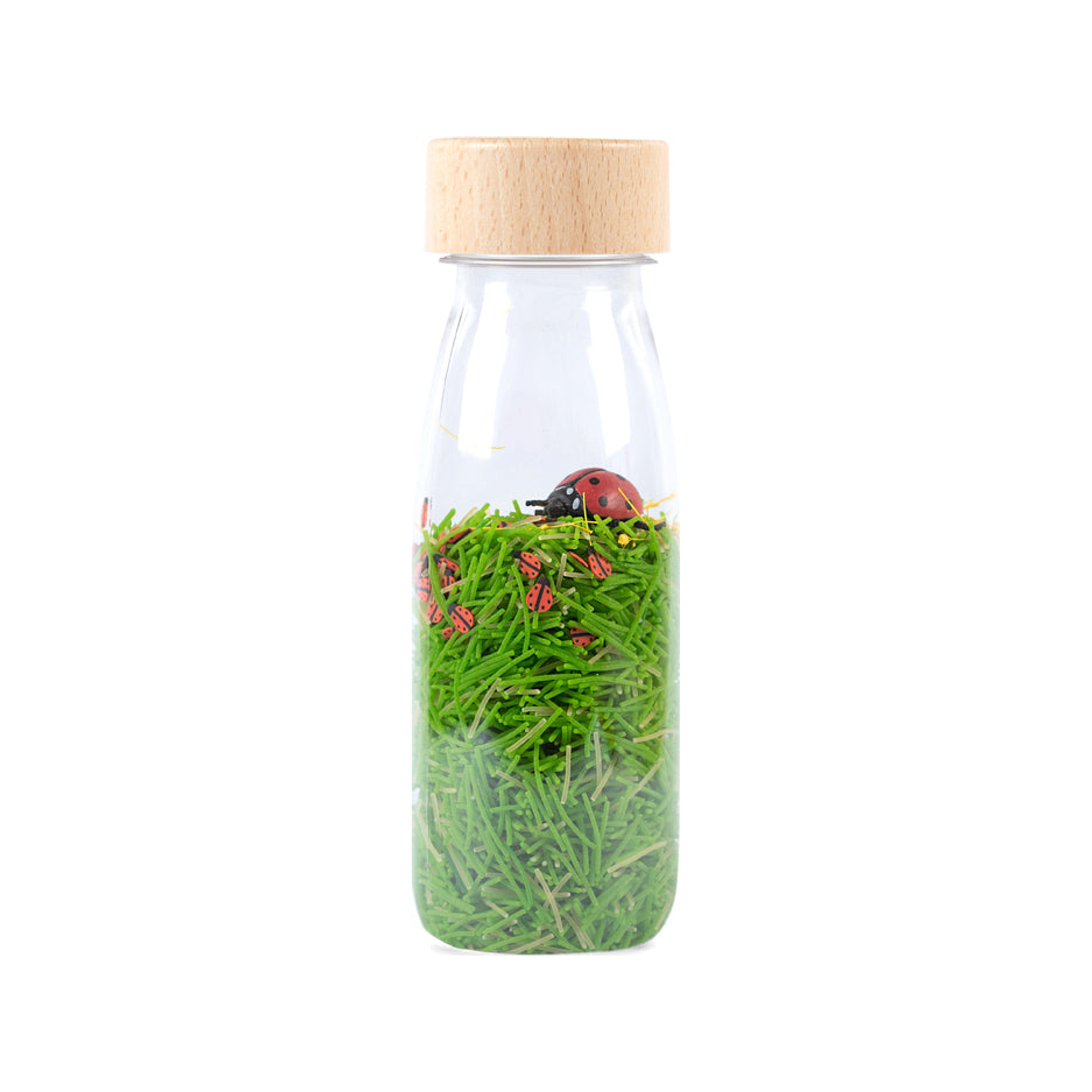 Sensory Bottle - SOUND BOTTLE Ladybirds (normalized)