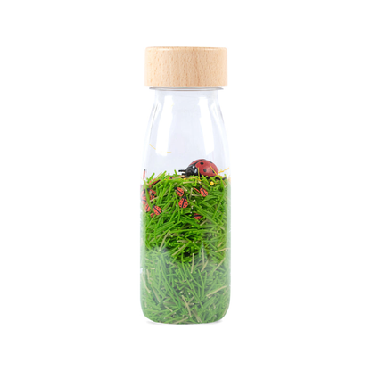 Sensory Bottle - SOUND BOTTLE Ladybirds (normalized)
