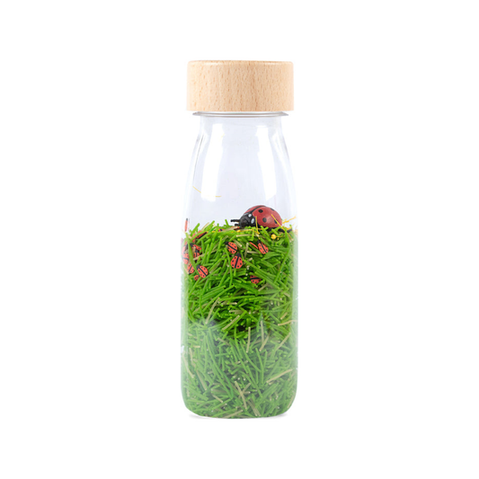 Botella sensorial - BOTELLA SONORA Mariquitas (normalizada)