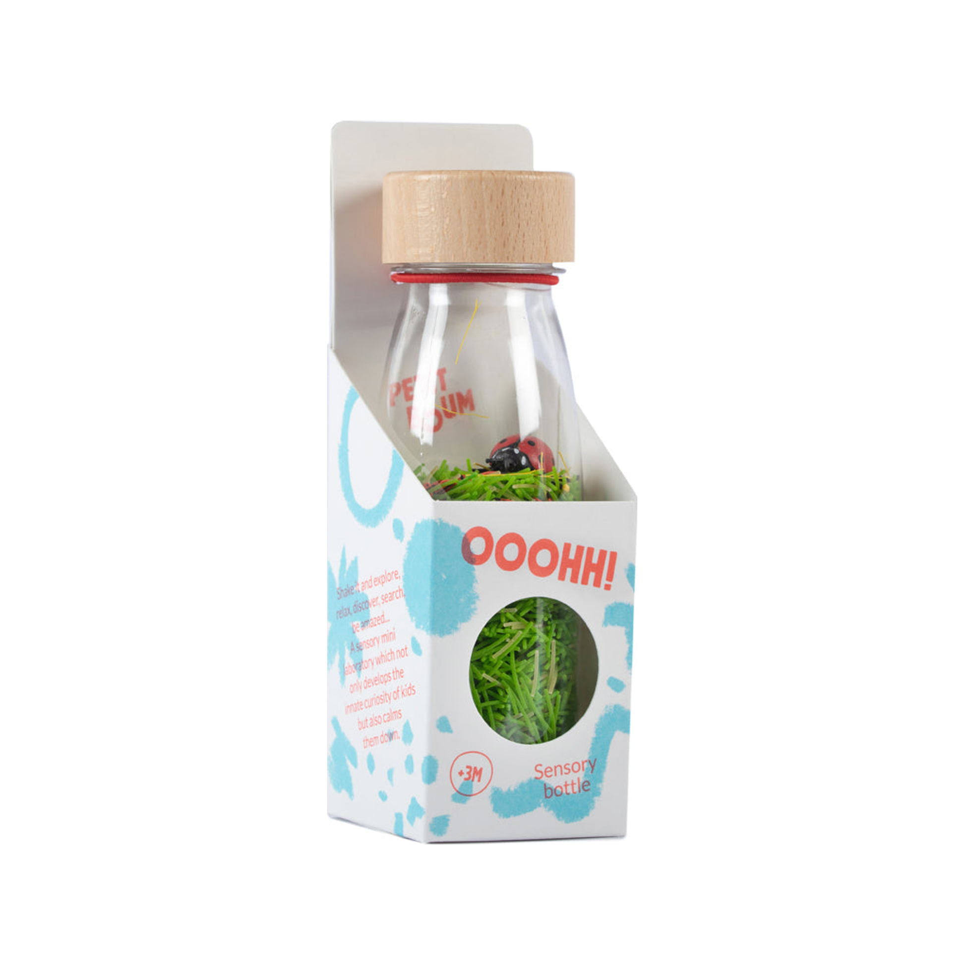 Sensory Bottle - SOUND BOTTLE Ladybirds (normalized)