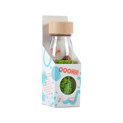 Sensory Bottle - SOUND BOTTLE Ladybirds (normalized)