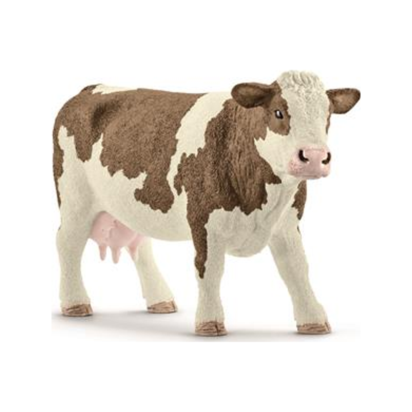 Vache Simmental (normalisée)