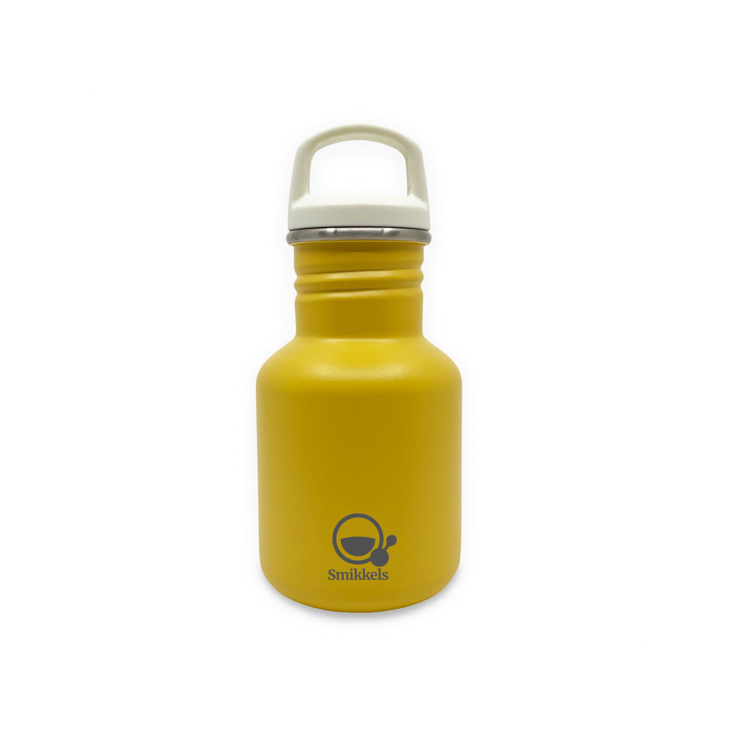Stainless Steel Drink Bottle (normalized)