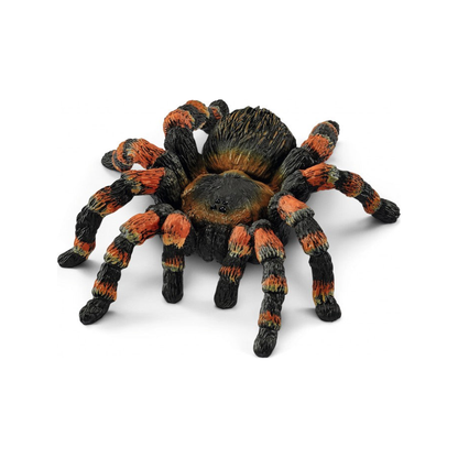 Tarantula (genormaliseerd)