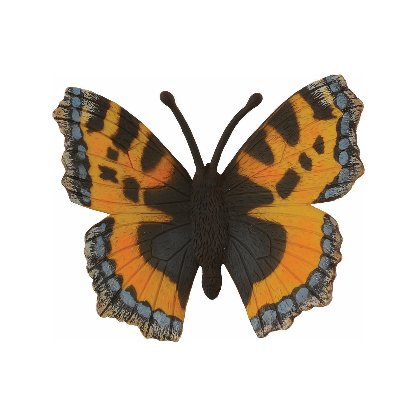 Tortoiseshell Butterfly (normalized)