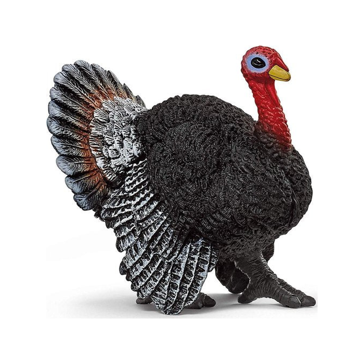 Pavo (normalizado)