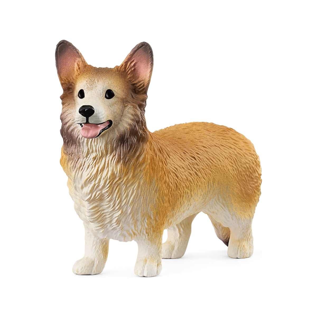 Corgi galés (normalizado)