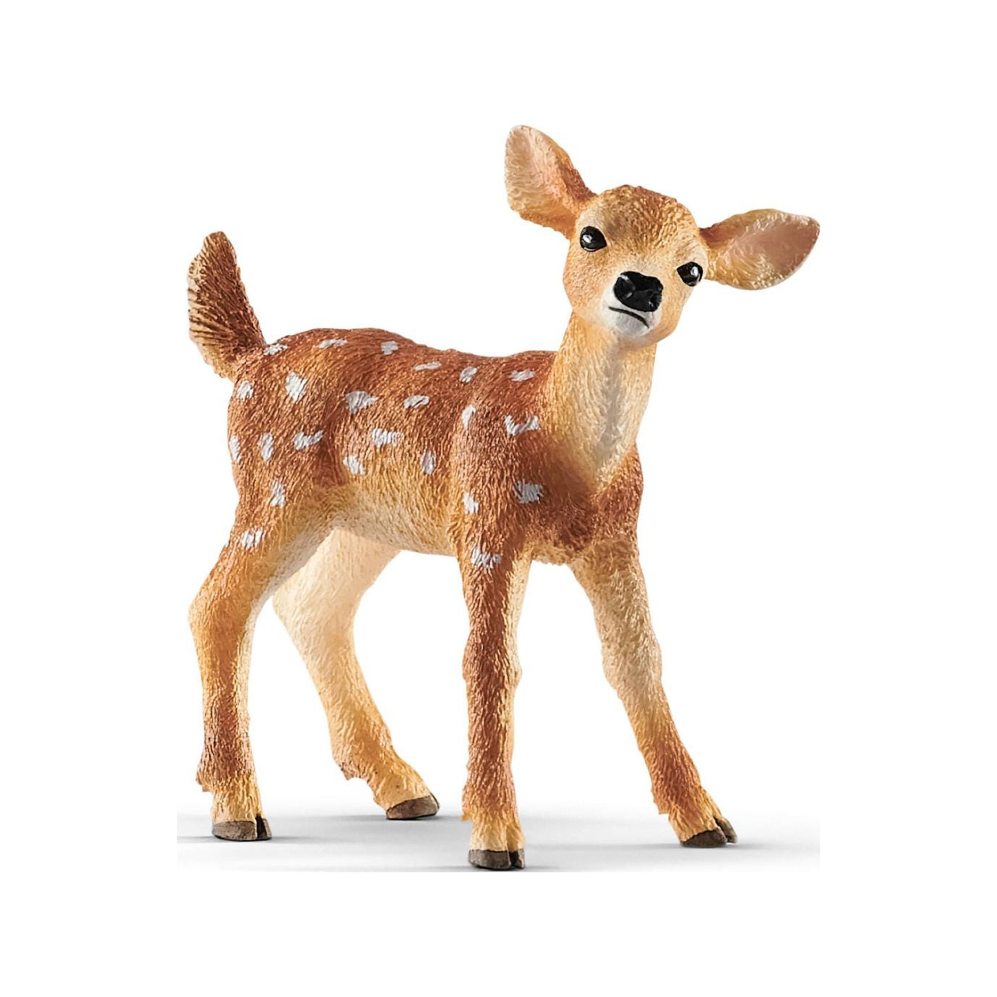 White-tailed fawn (normalized)
