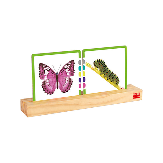 Wooden Card Holders (normalized)