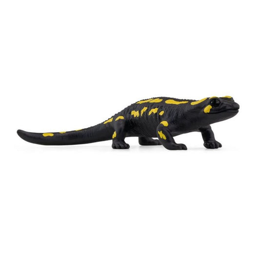 Salamander