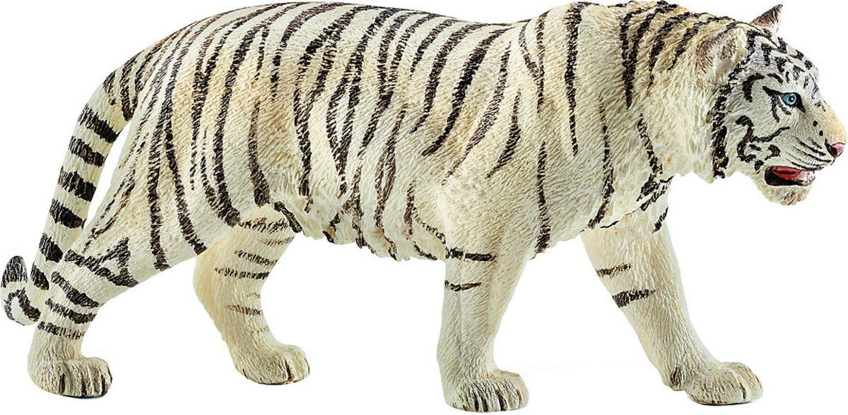 White tiger