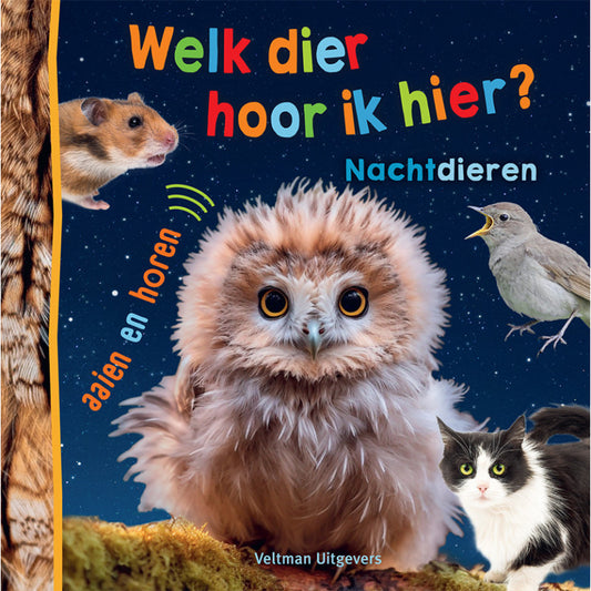 Quel animal entends-je ici ? - Animaux nocturnes